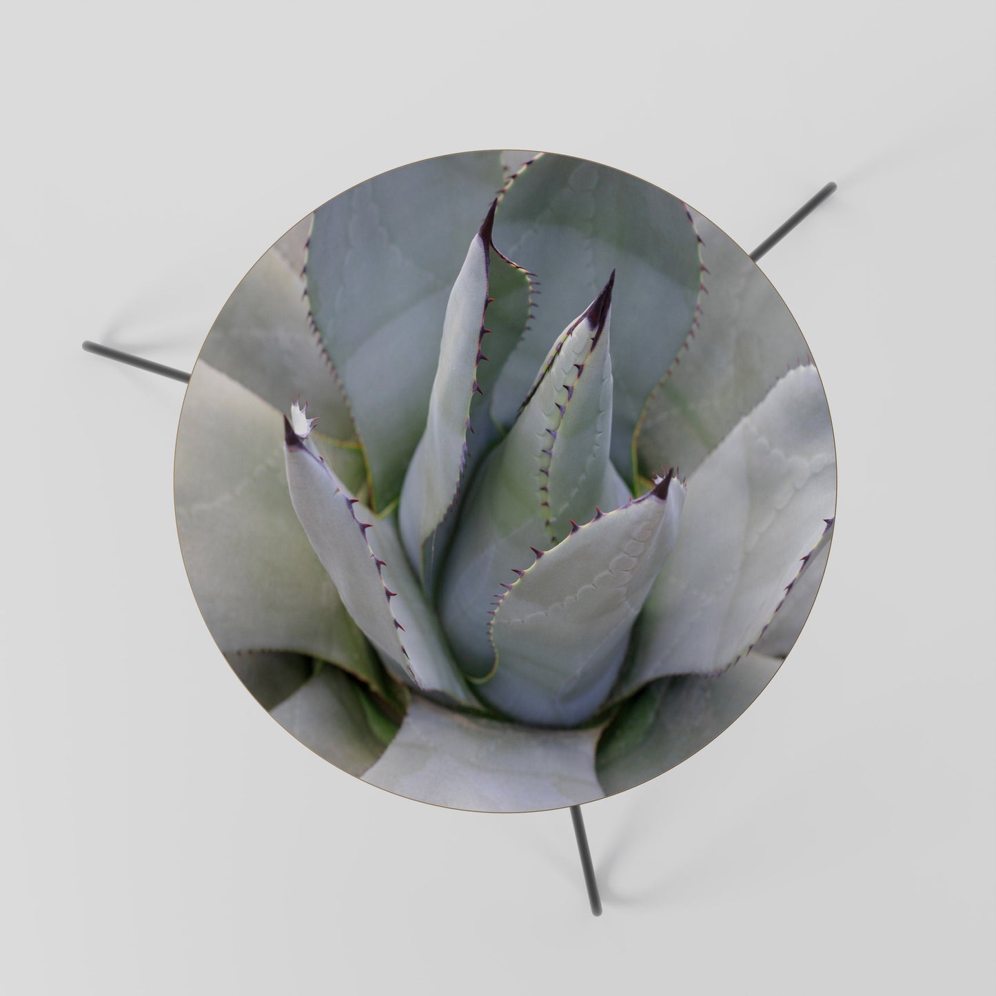 Tavolino da caffè AGAVE ELEGANCE 60