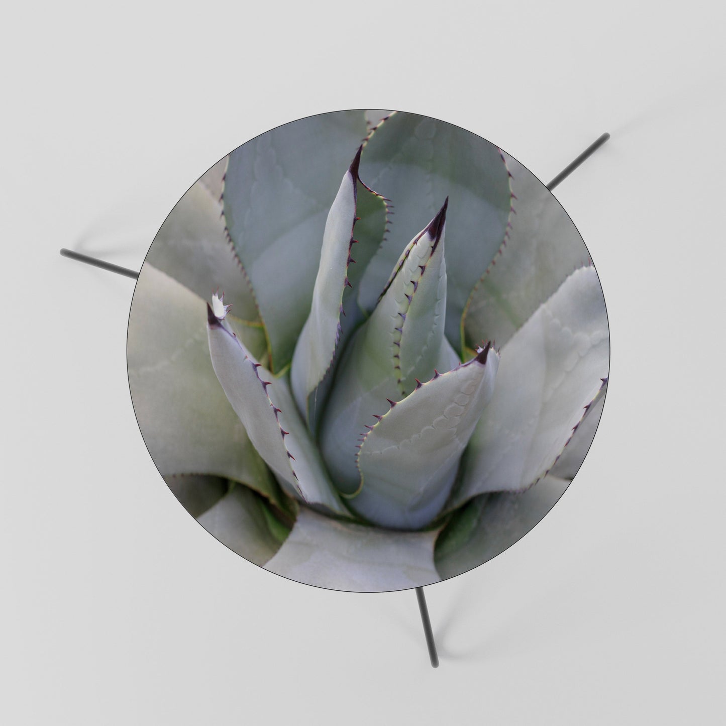 Tavolino da caffè AGAVE ELEGANCE 60