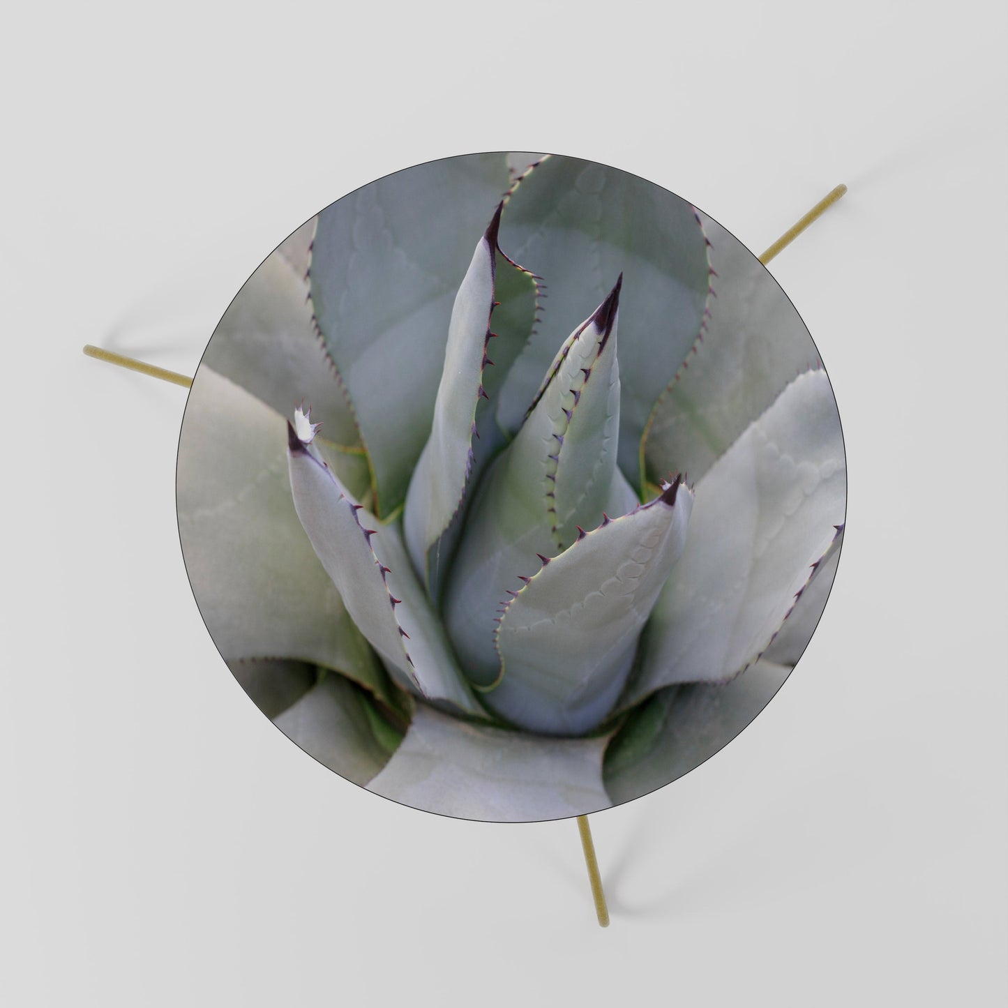 Tavolino da caffè AGAVE ELEGANCE 60