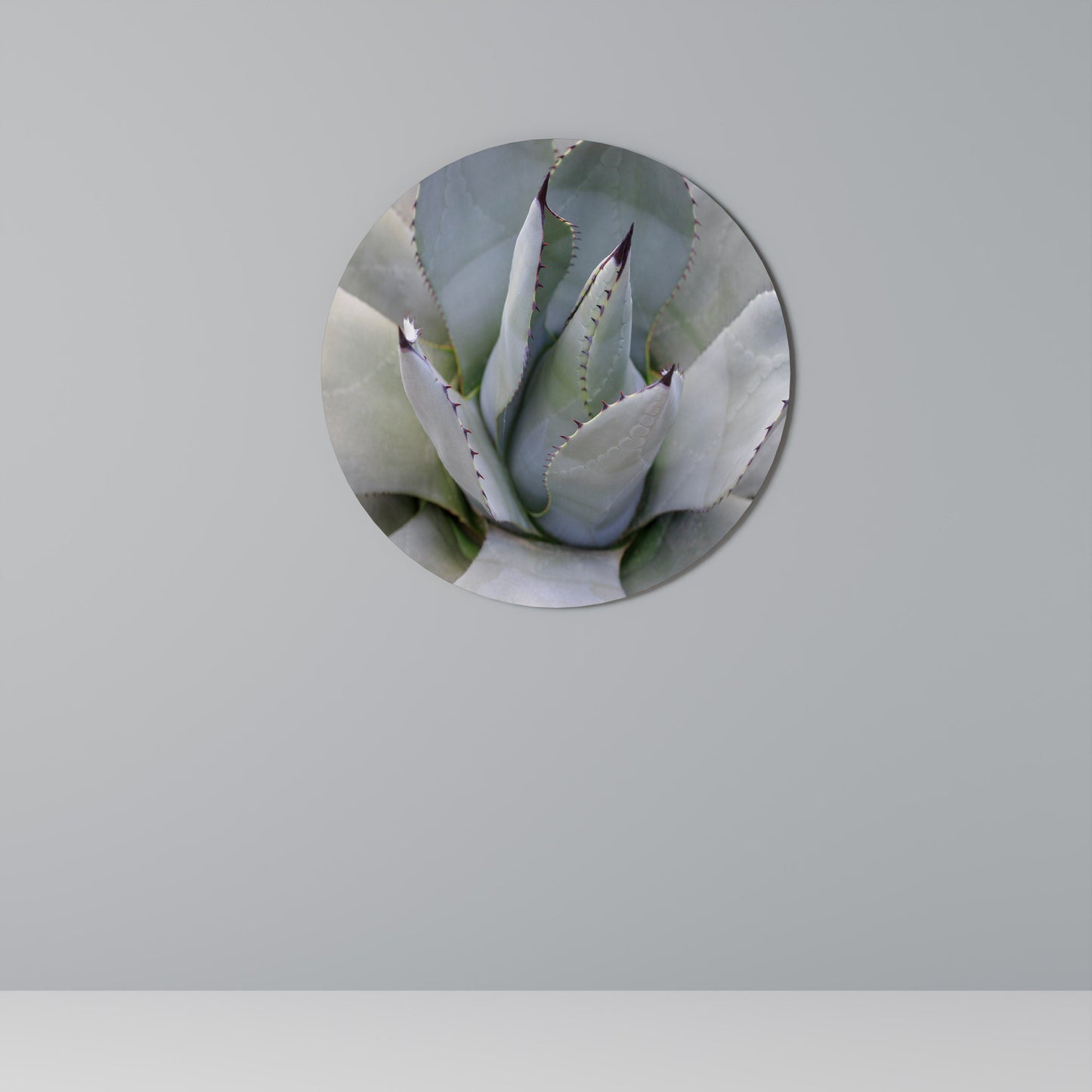 AGAVE ELEGANCE Arte murale rotonda