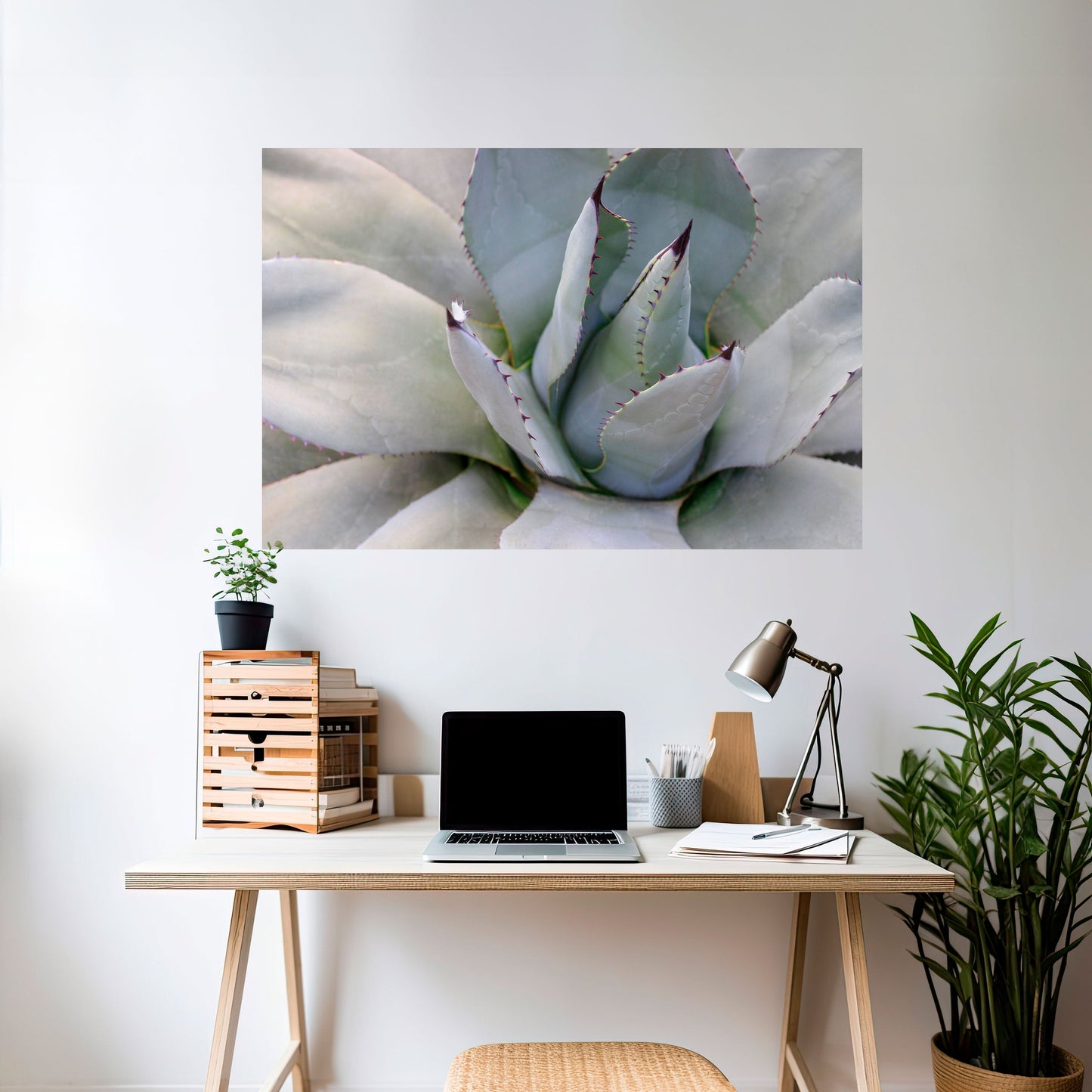 Poster orizzontale staccabile e attaccabile AGAVE ELEGANCE