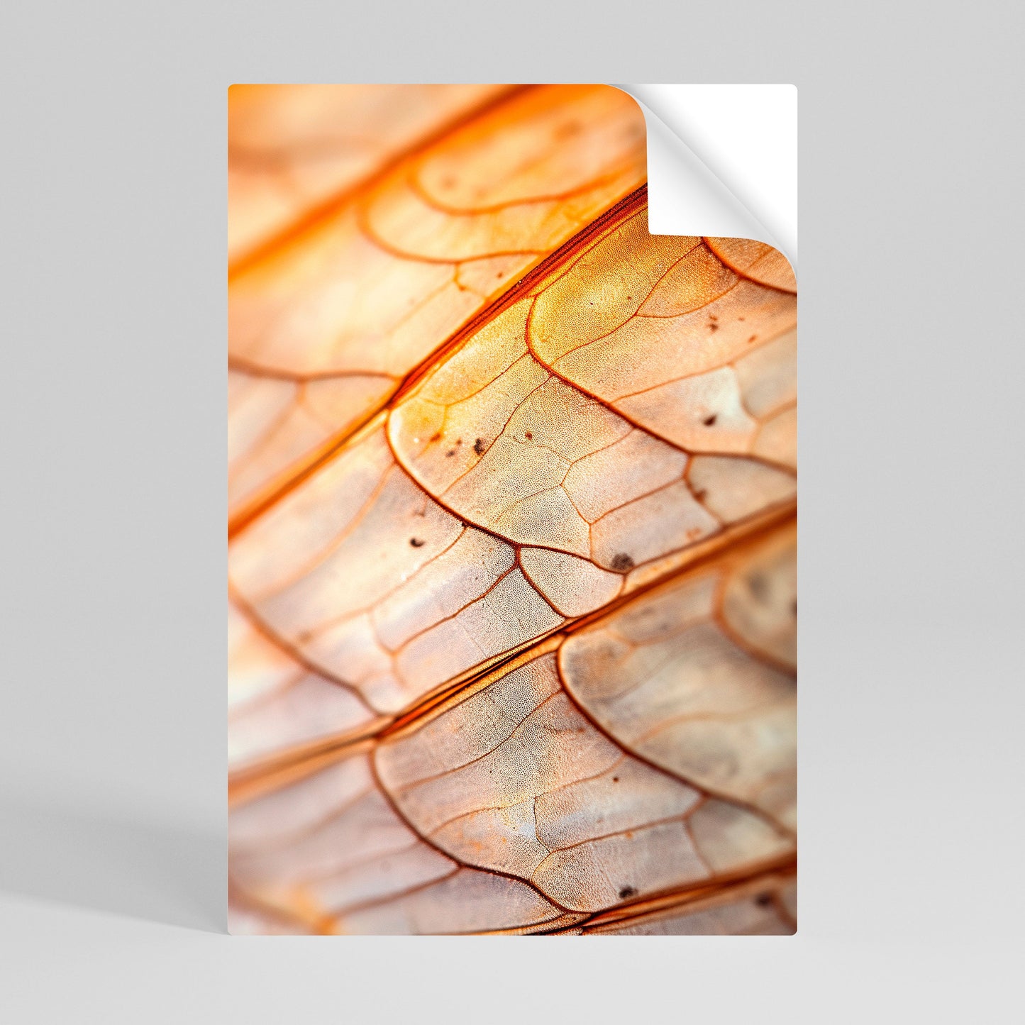 ELEGANTE VENATURA Poster verticale staccabile e attaccabile