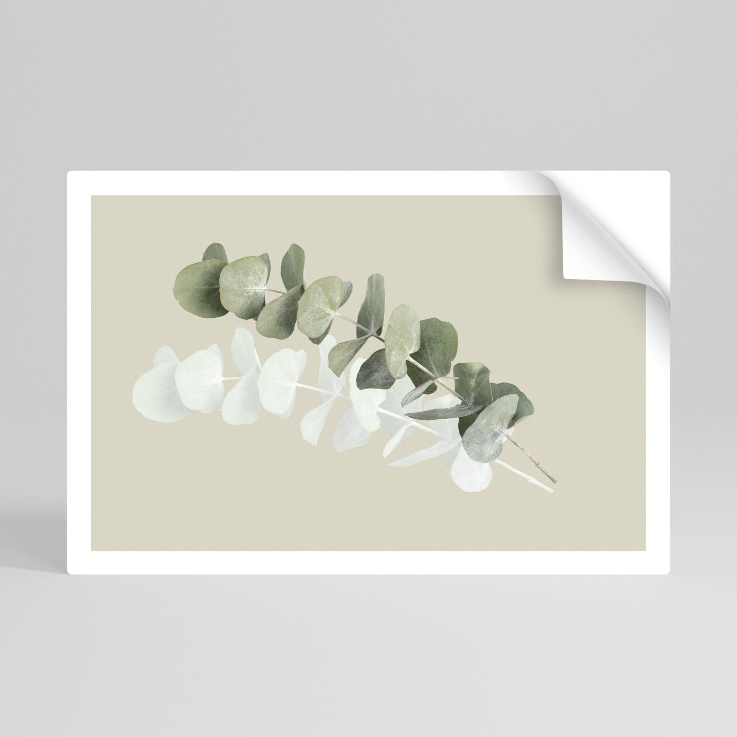 Poster orizzontale staccabile e attaccabile NATURA TRASLUCIDA