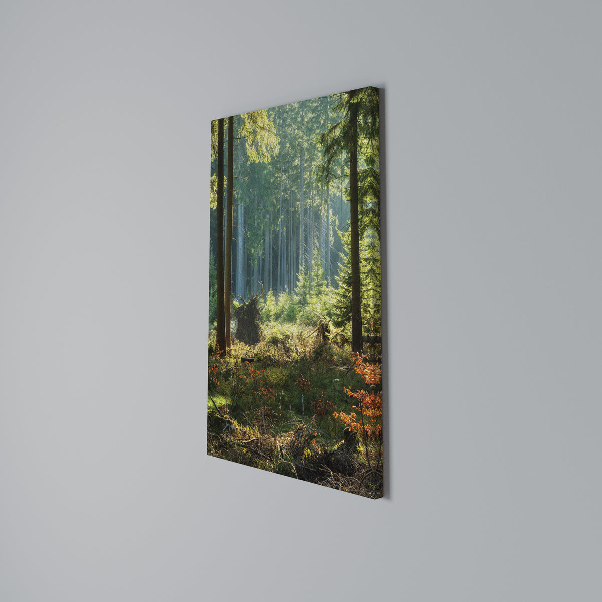 SUNLIT FOREST SERENADE Stampa su tela verticale