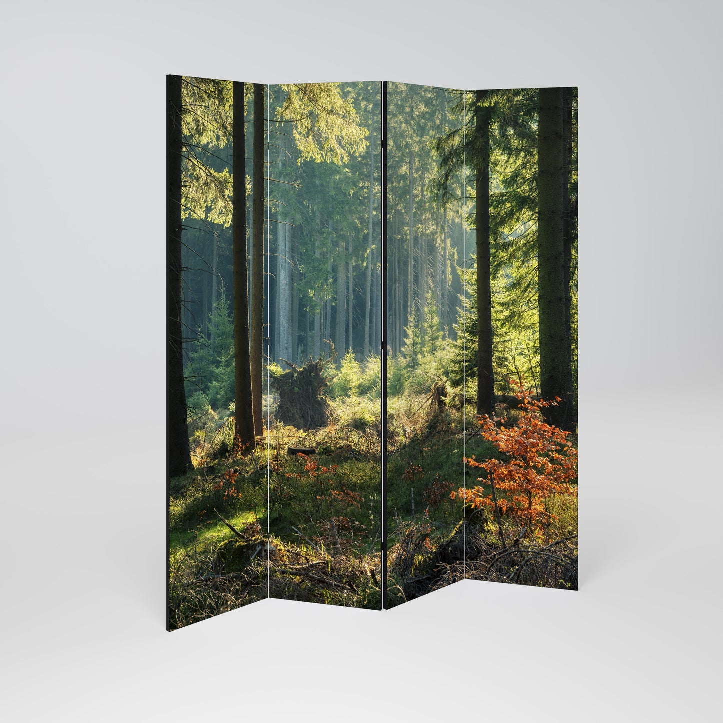 Serenata decorativa per ambienti a 4 pannelli SUNLIT FOREST SERENADE