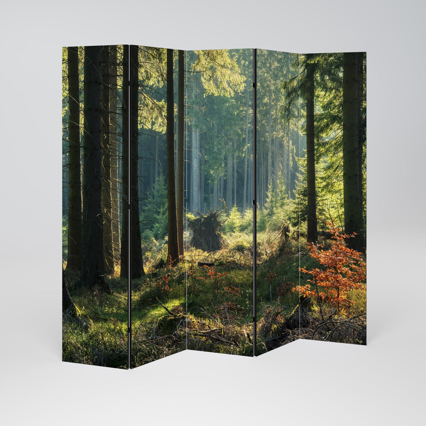 Serenata decorativa per ambienti a 5 pannelli SUNLIT FOREST SERENADE