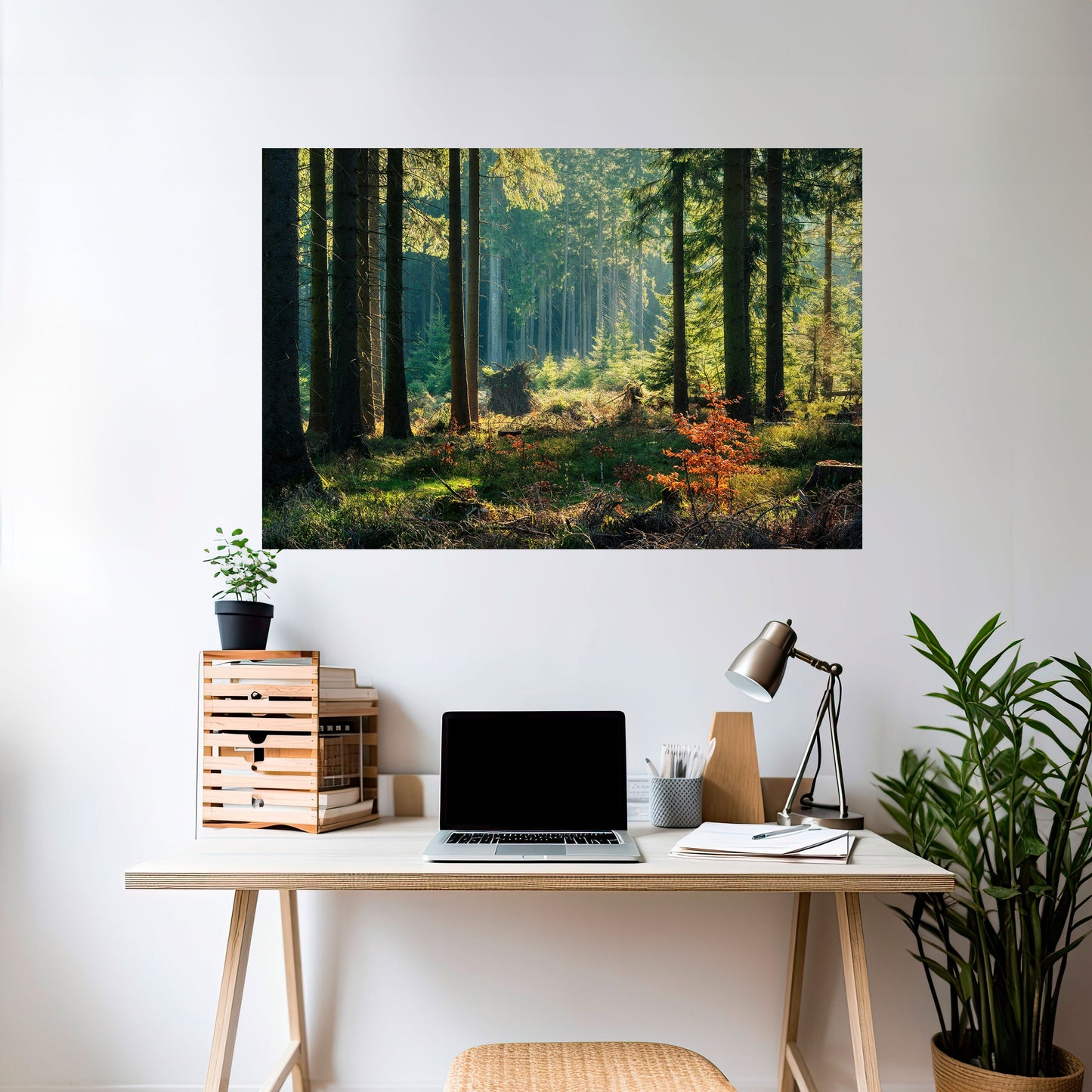 Poster orizzontale staccabile e attaccabile "Serenata nella foresta illuminata dal sole"