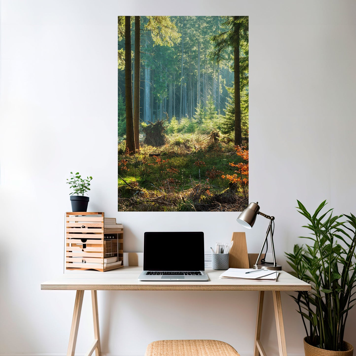 Poster verticale staccabile e attaccabile "Serenata nella foresta illuminata dal sole"