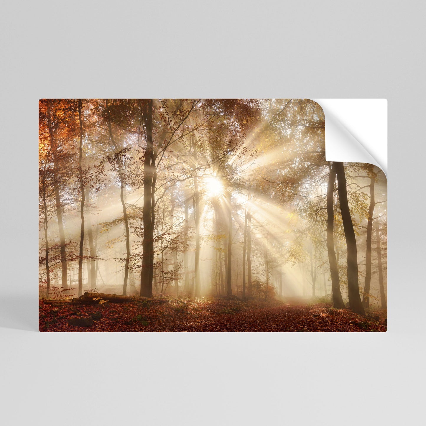 Poster orizzontale staccabile e attaccabile SUSSURRI D'AUTUNNO