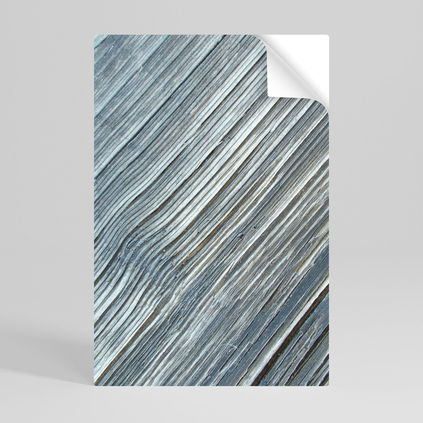 Poster verticale staccabile e attaccabile "NATURE'S RIBBON RELIC"