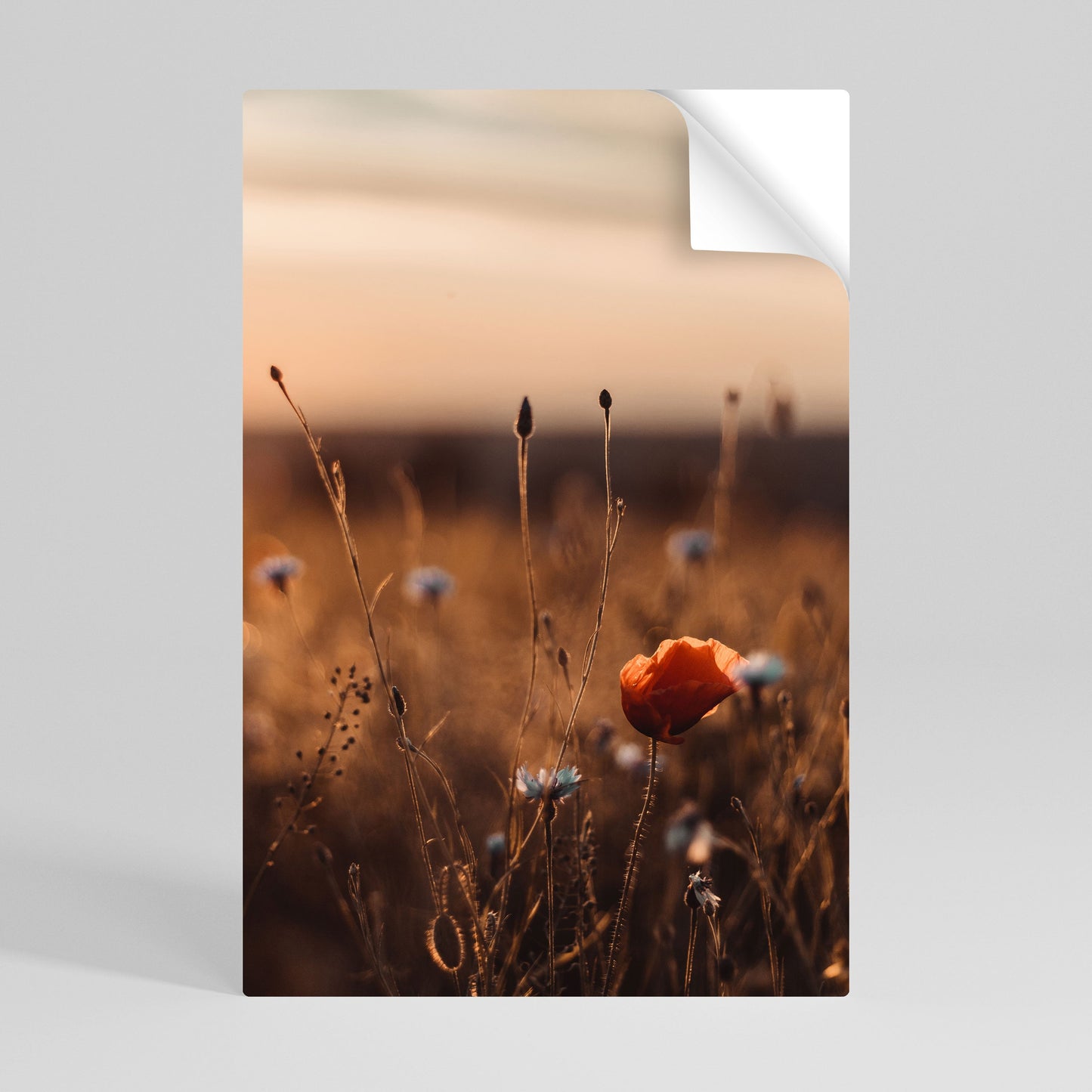 Poster verticale staccabile e attaccabile "PRATI LUMINOSI AL TRAMONTO"