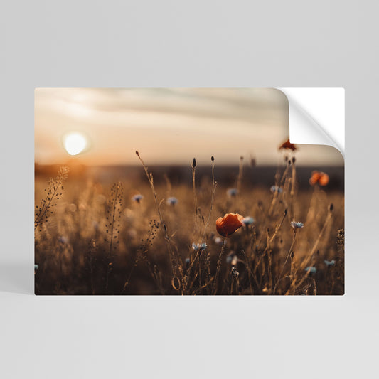 Poster orizzontale staccabile e attaccabile "PRATI LUMINOSI AL TRAMONTO"