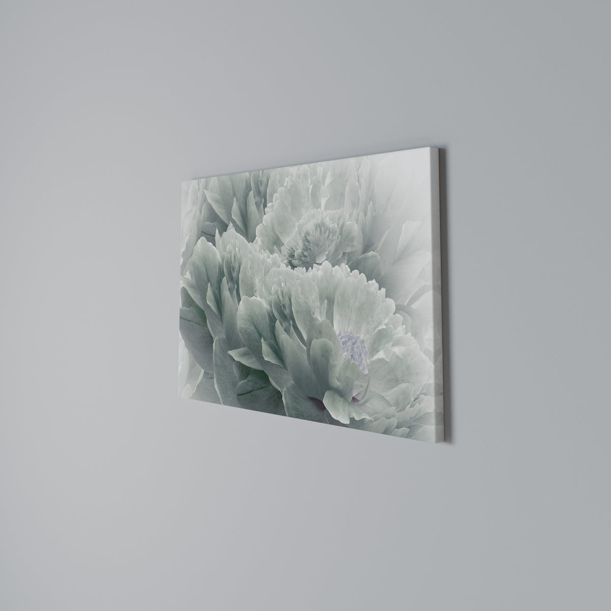 TREE PEONIES Stampa su tela orizzontale