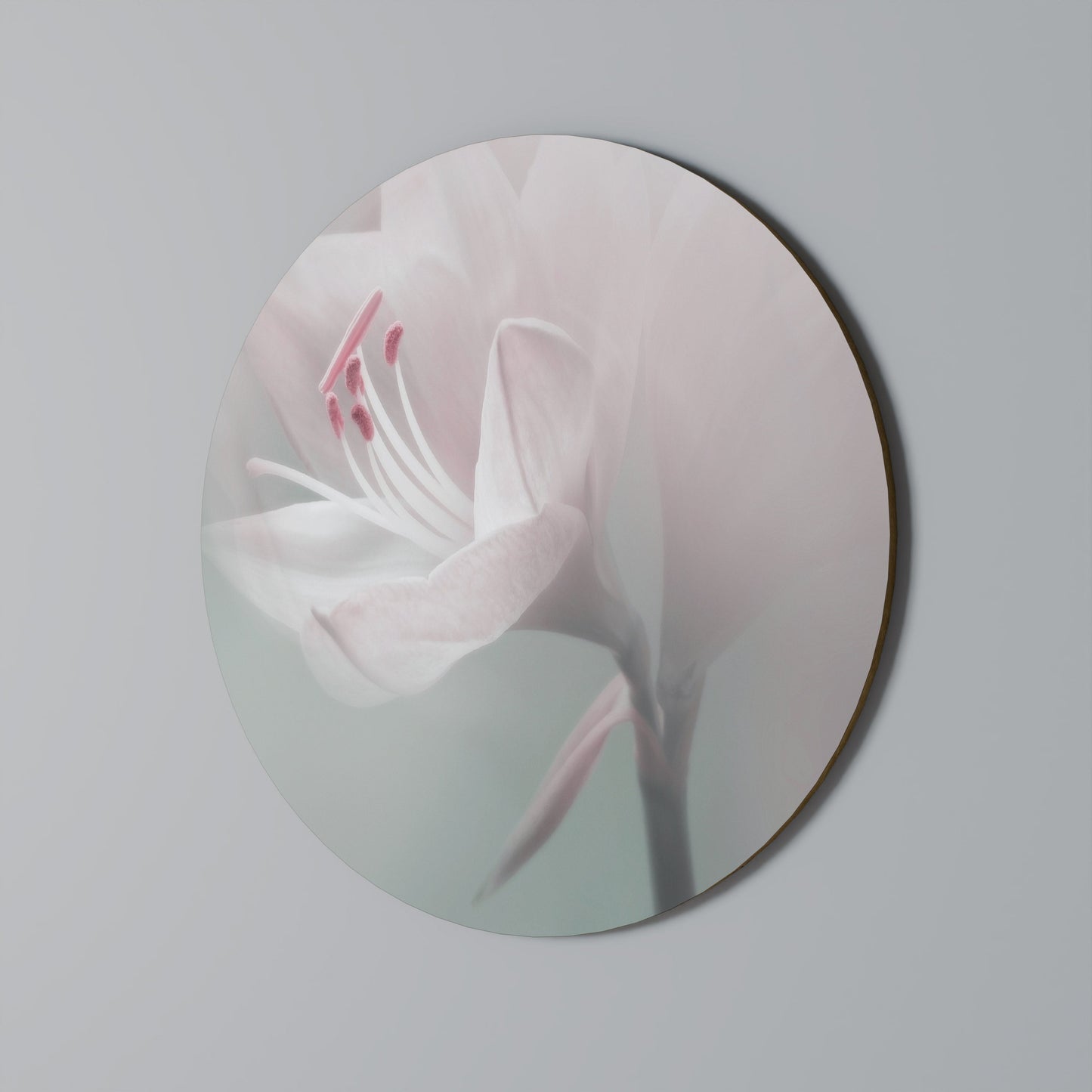 GENTLE LILY - Decorazione murale rotonda