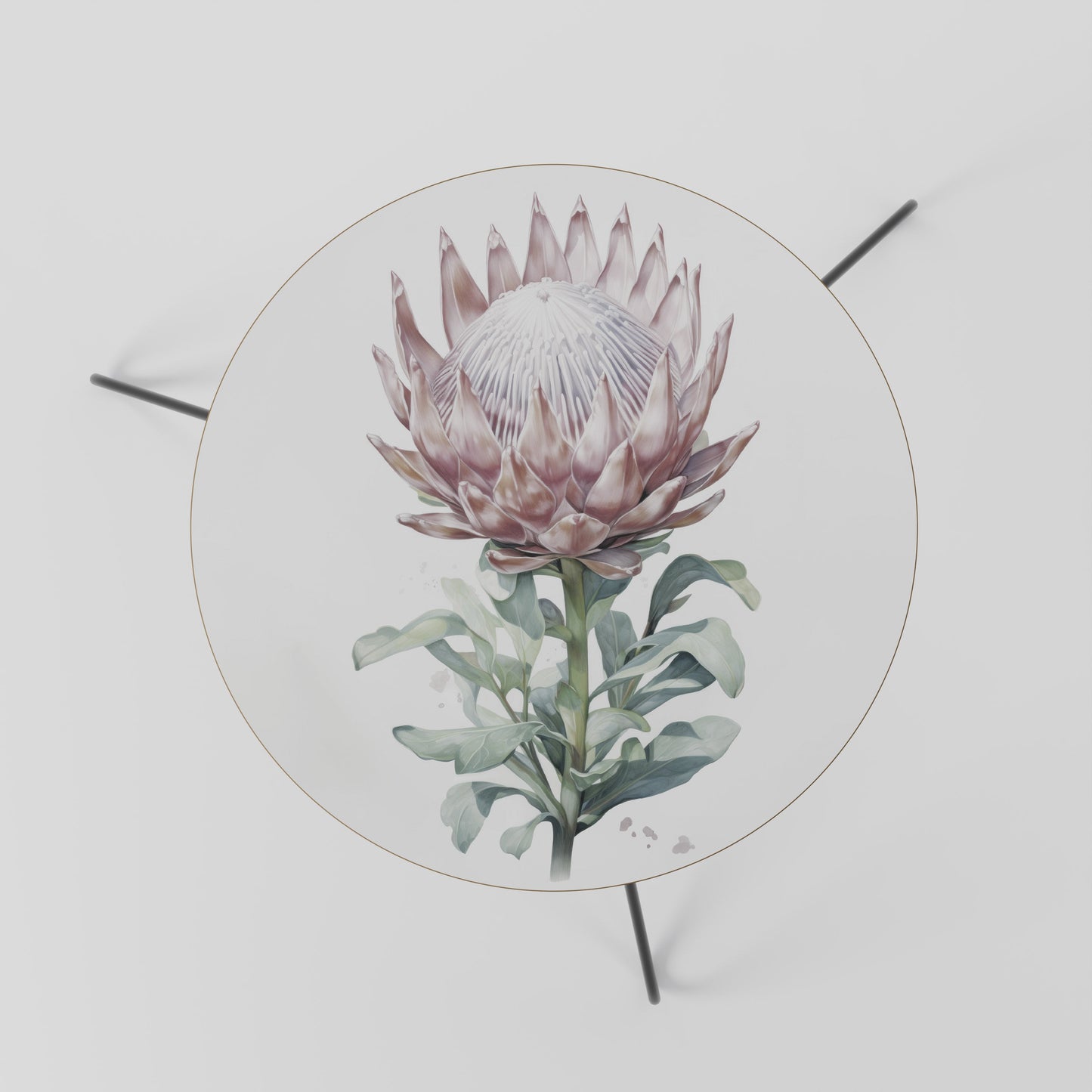 Tavolino da caffè ROYAL PROTEA 60