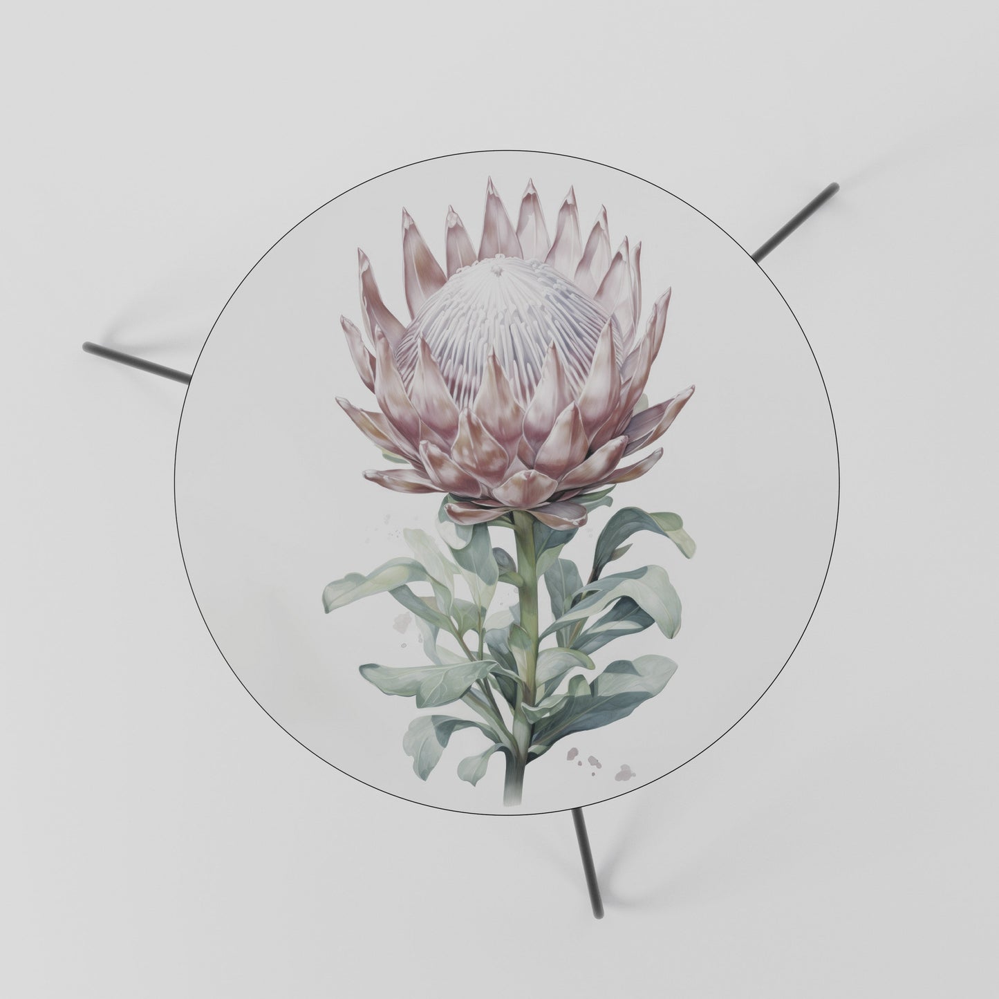 Tavolino da caffè ROYAL PROTEA 60