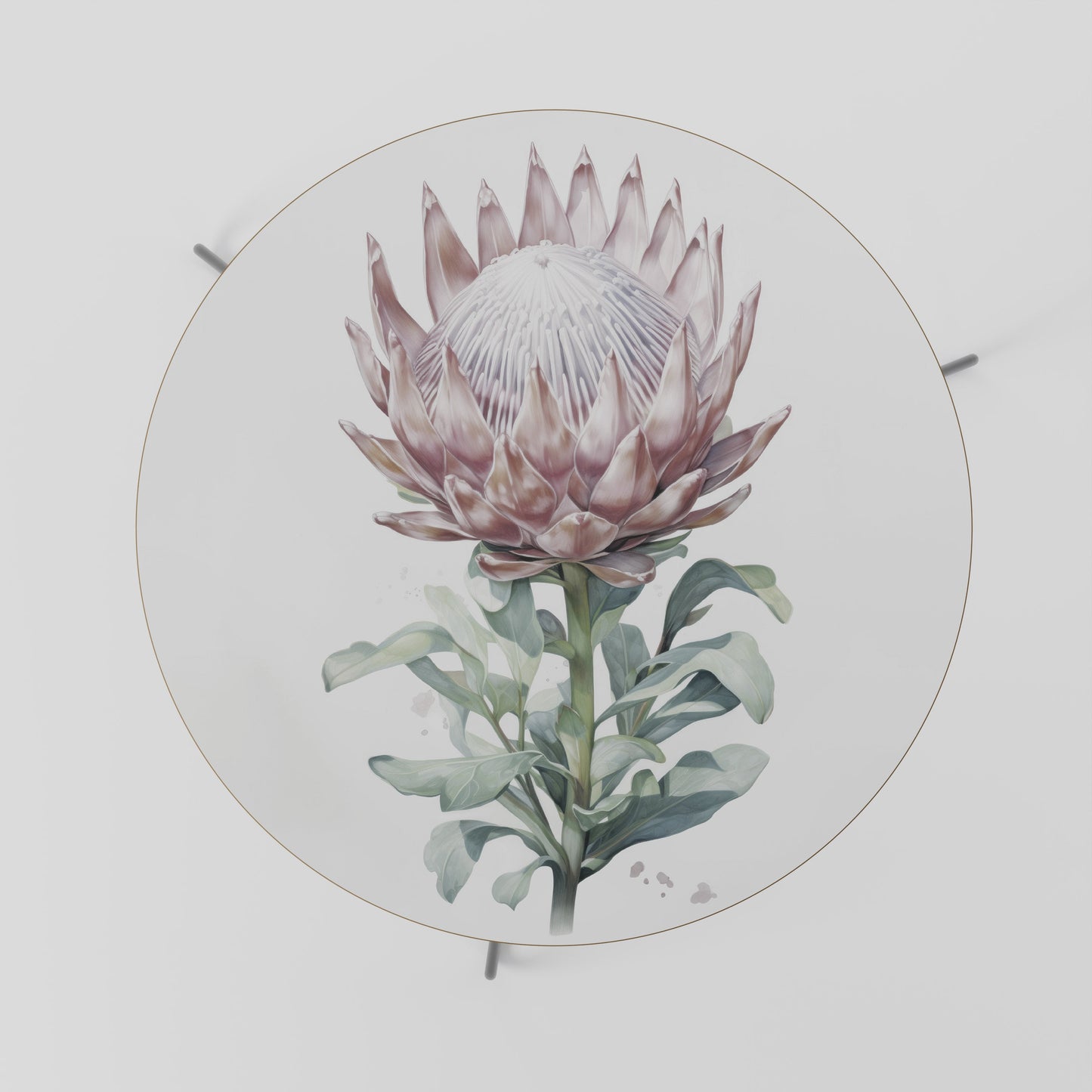 Tavolino da caffè ROYAL PROTEA 69