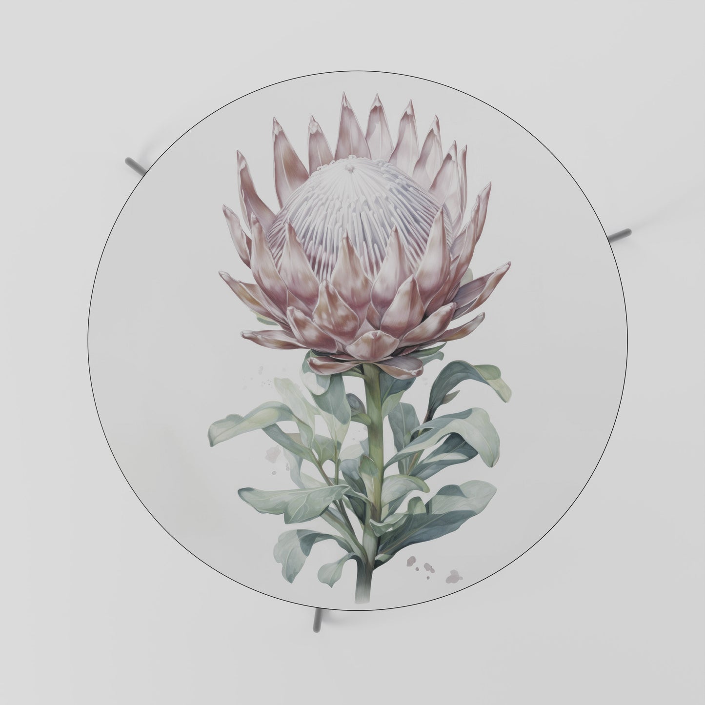Tavolino da caffè ROYAL PROTEA 69