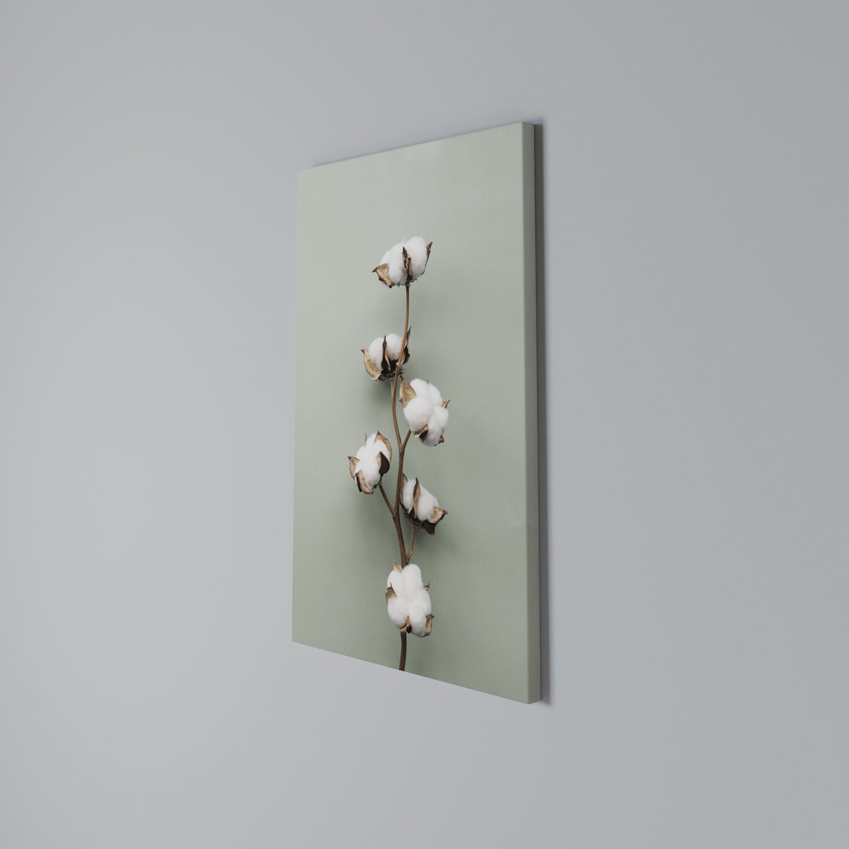 COTTON DREAMS UNFOLDED Stampa su tela verticale