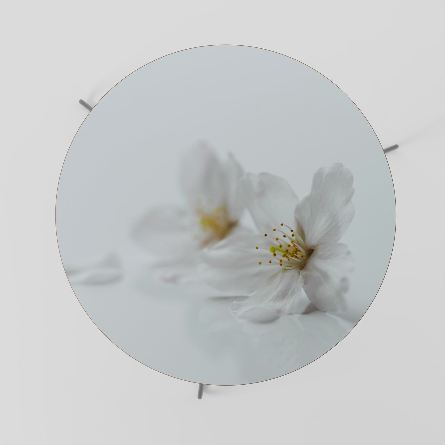 Tavolino da caffè FLEETING WHITE PETALS 69