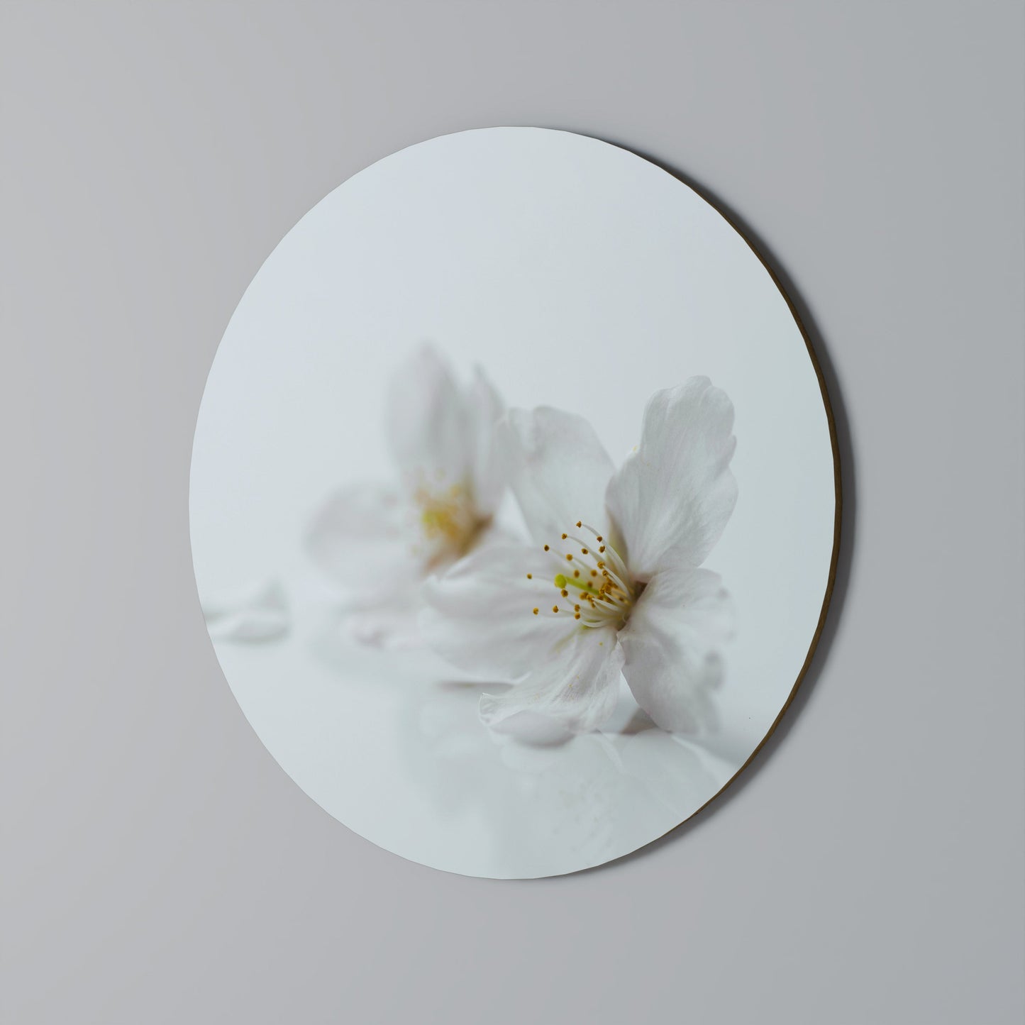 FLEETING WHITE PETALS Round Wall Art