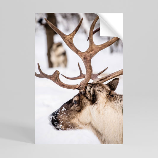 WHISPERS OF FROST Peel and Stick Vertical Poster