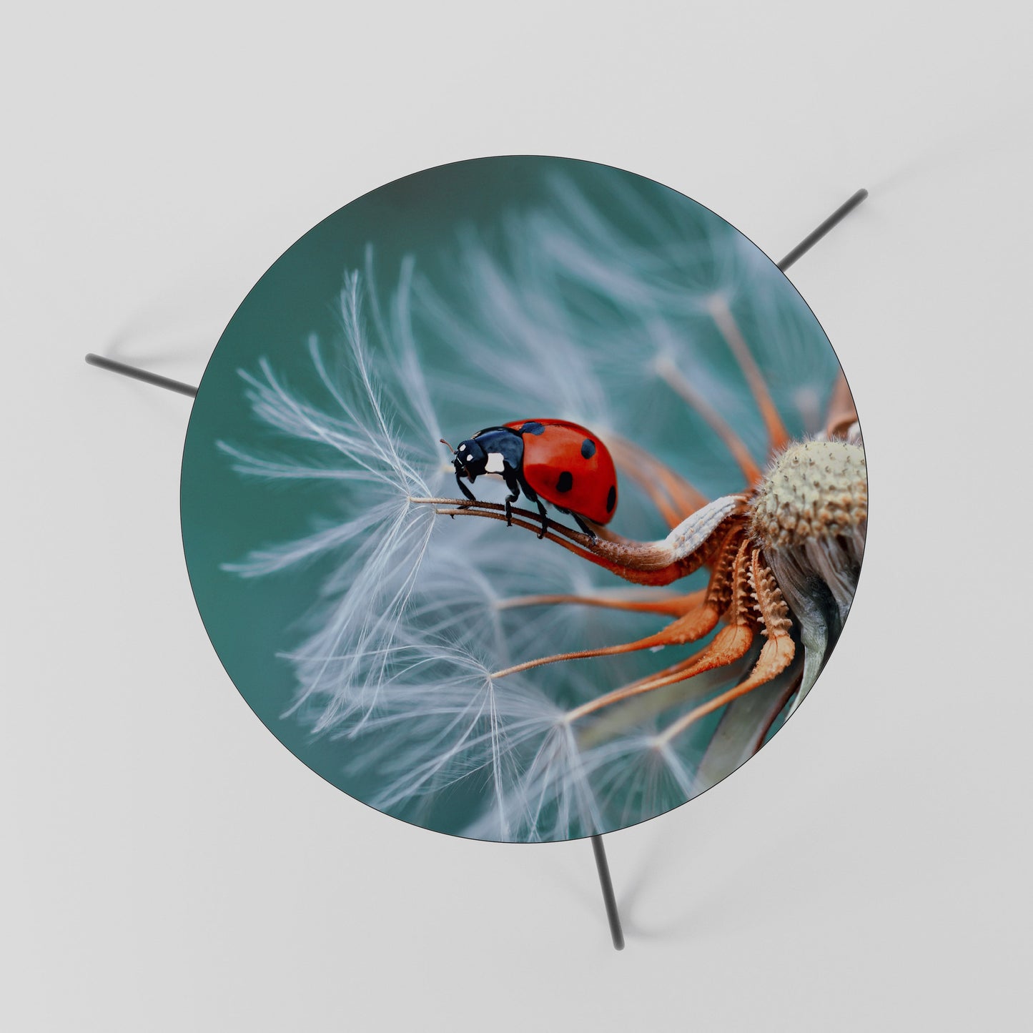 Tavolino da caffè LADYBUG BALANCE 60