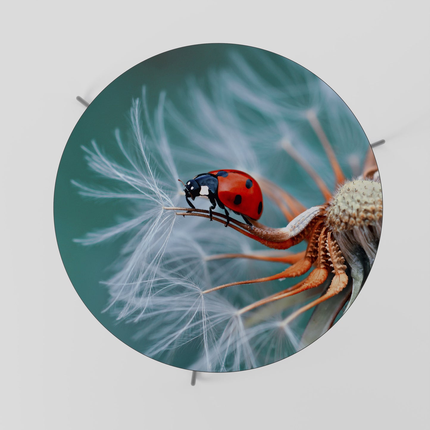 Tavolino da caffè LADYBUG BALANCE 69