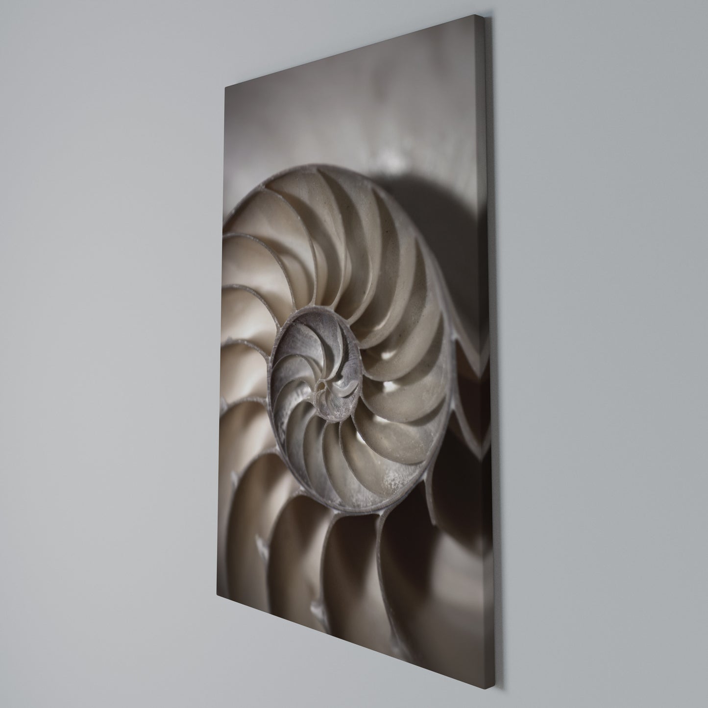 WHISPERS OF SHELLS Stampa su Tela Verticale