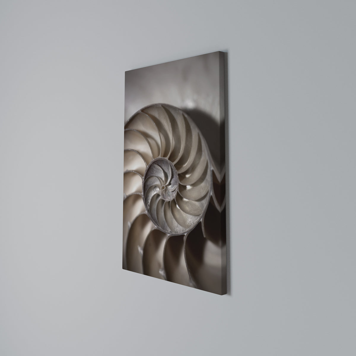 WHISPERS OF SHELLS Stampa su tela verticale