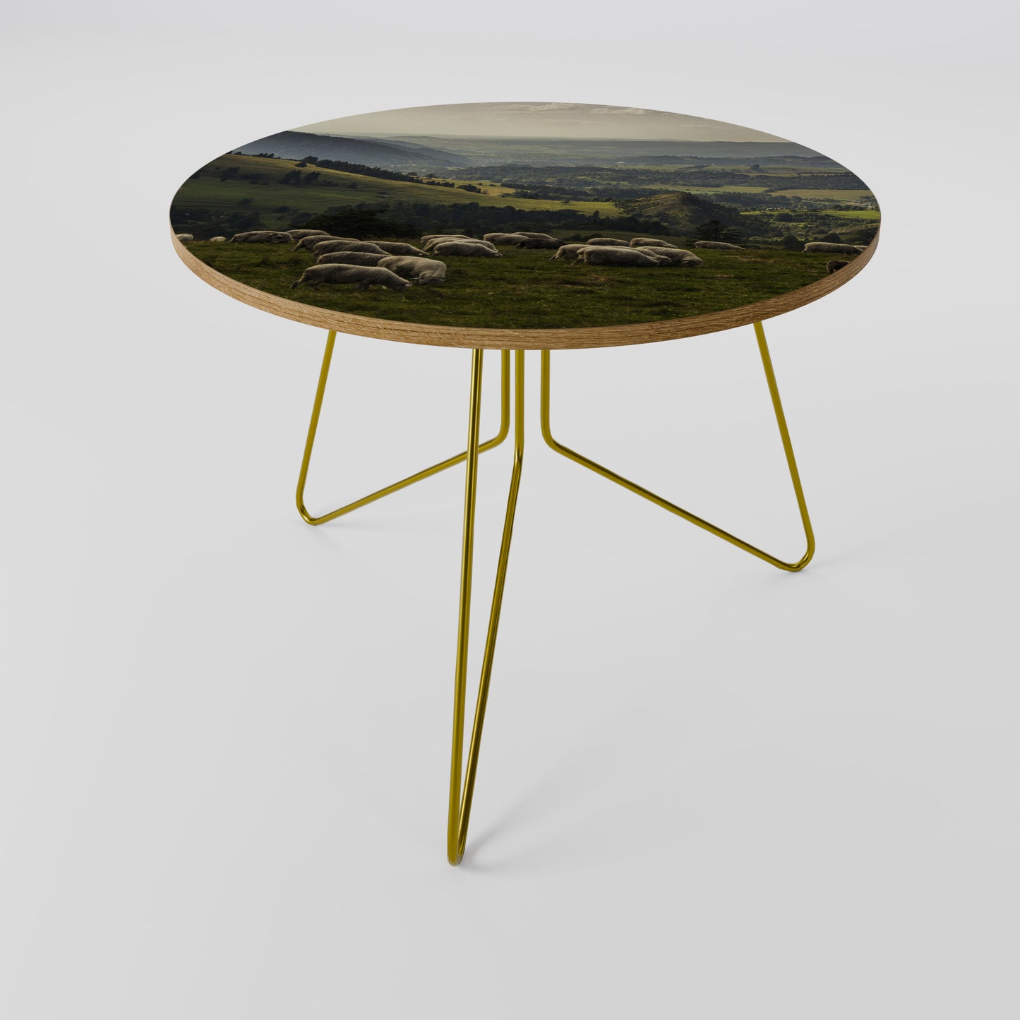 SHEEP IN SERENITY Coffee Table 69