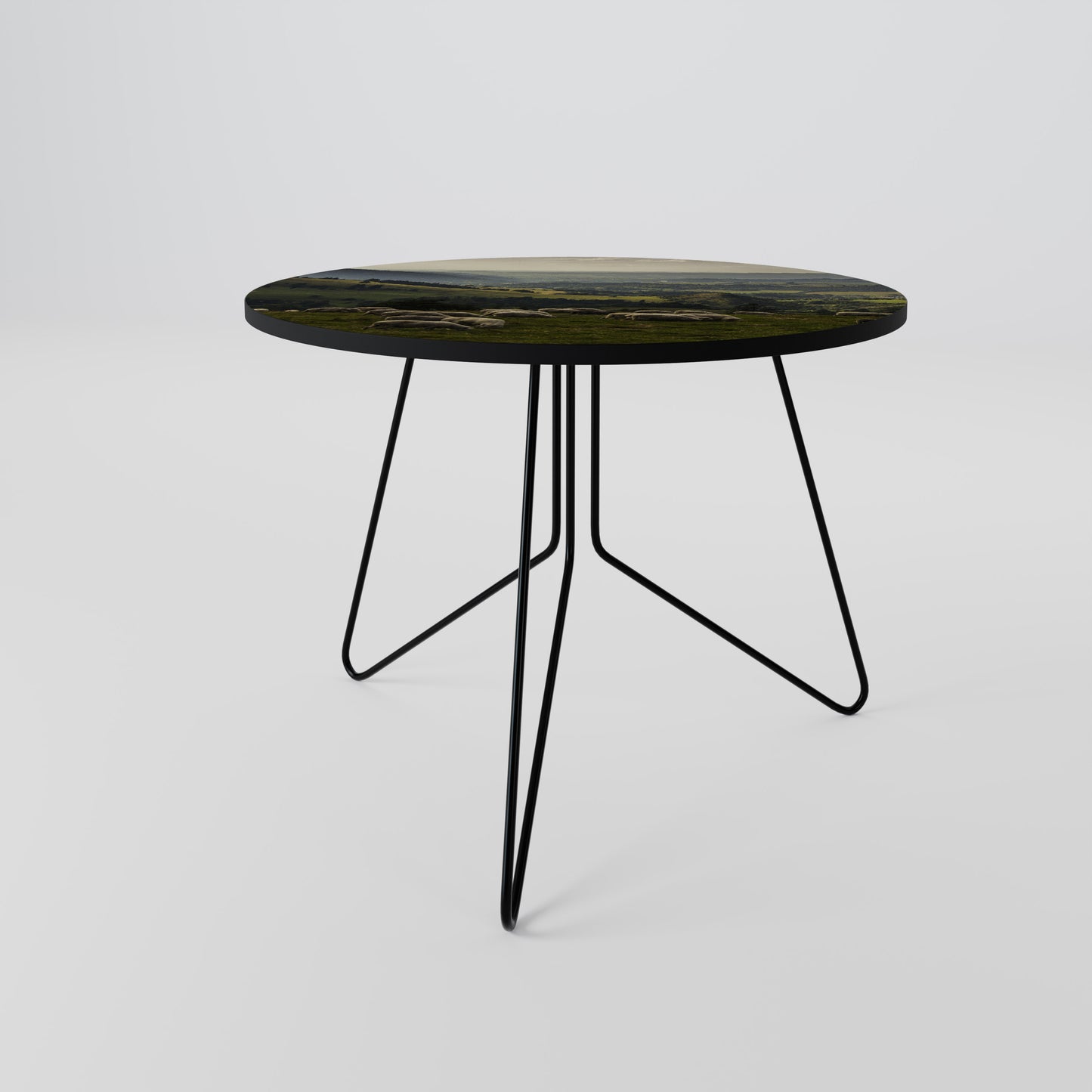 SHEEP IN SERENITY Coffee Table 69