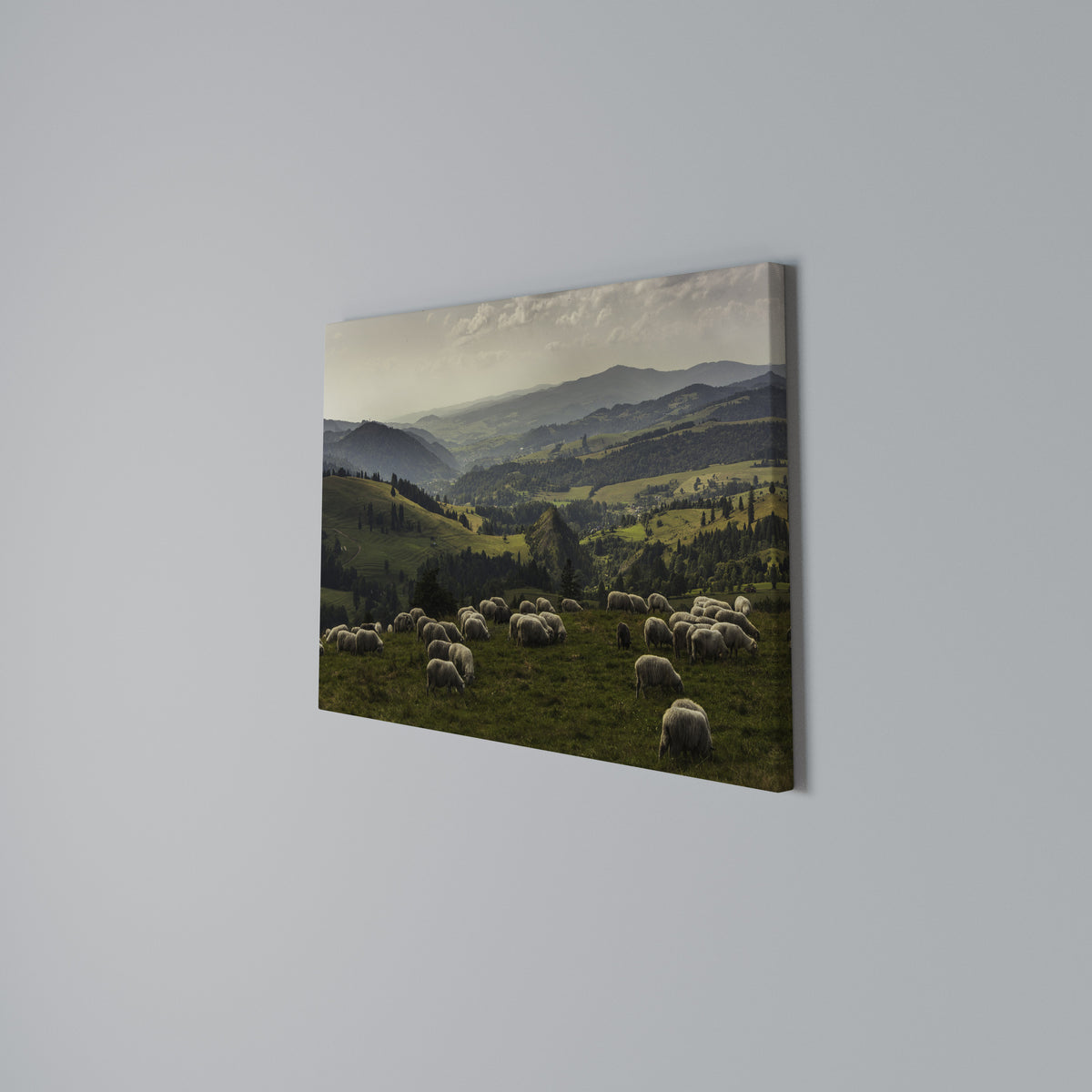 SHEEP IN SERENITY Stampa su tela orizzontale