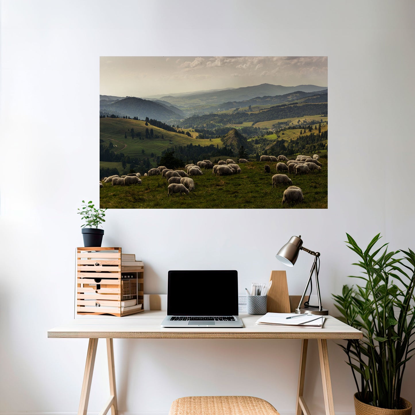 PECORA IN SERENITÀ Poster orizzontale staccabile e attaccabile