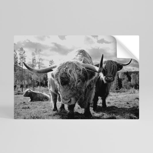 Poster orizzontale staccabile e attaccabile "QUIETE DELLE VECCHIE ANIME"