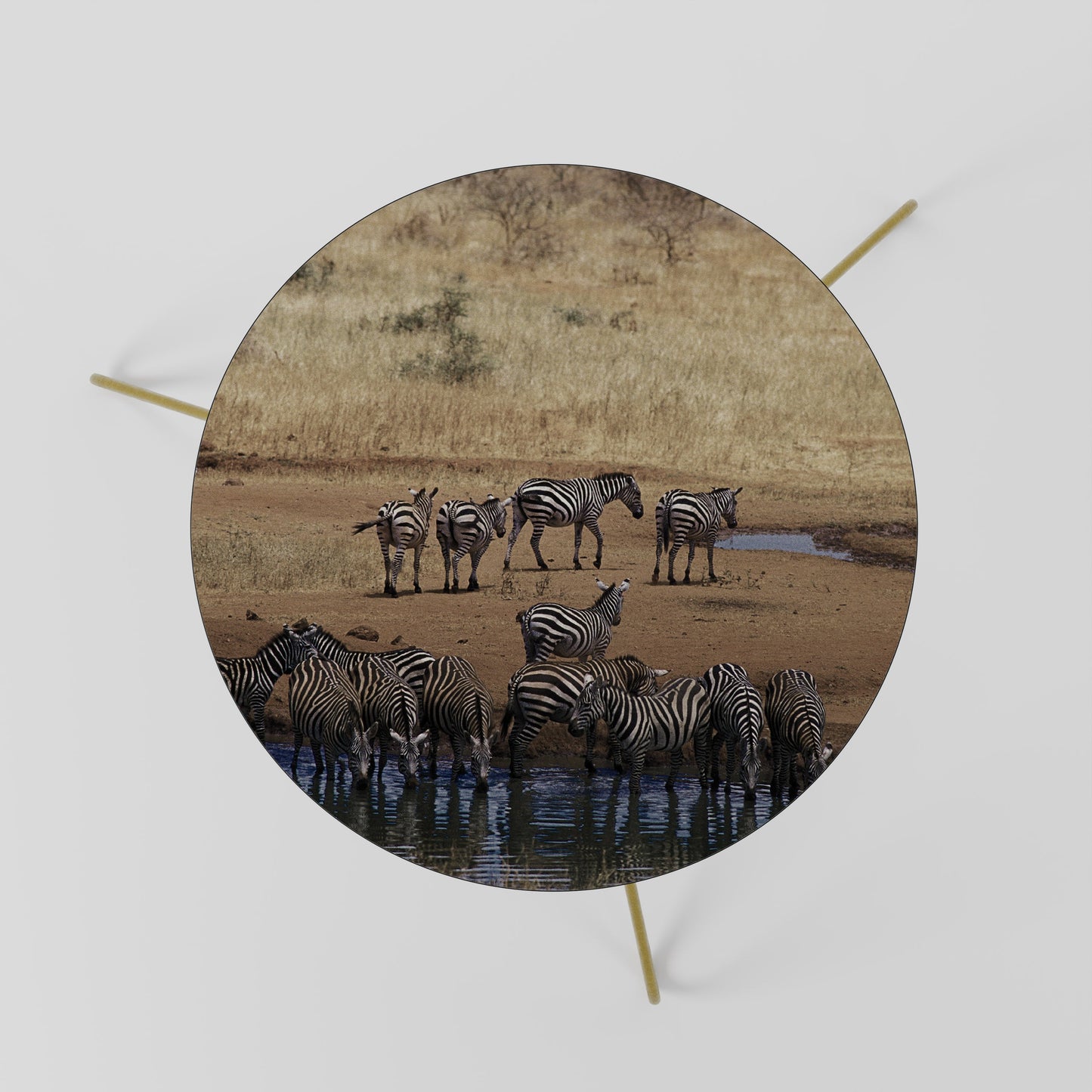 Tavolino da caffè ZEBRA HARMONY 60
