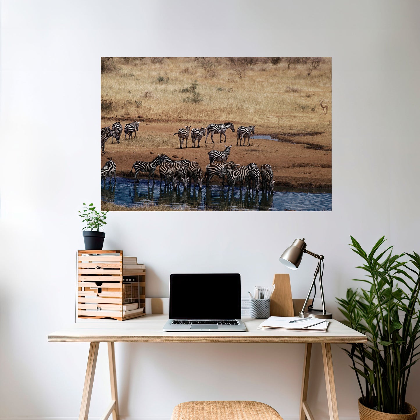 Poster orizzontale staccabile e attaccabile THE ZEBRA HARMONY