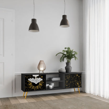 STELLAR CONSTELLATIONS 2-Door TV Stand in Black Finish