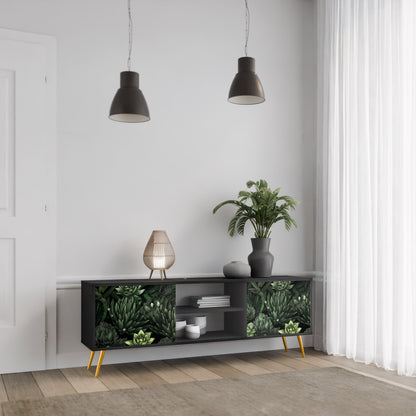 SUCCULENT JUNGLE 2-Door TV Stand in Black Finish
