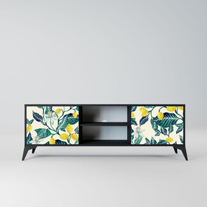 LEMON TREE 2-Door TV Stand in Black Finish