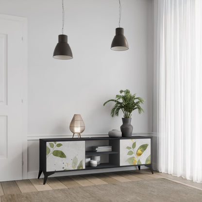 ELEGANT BOTANICS 2-Door TV Stand in Black Finish