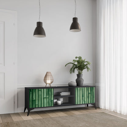NATURAL GREEN 2-Door TV Stand in Black Finish