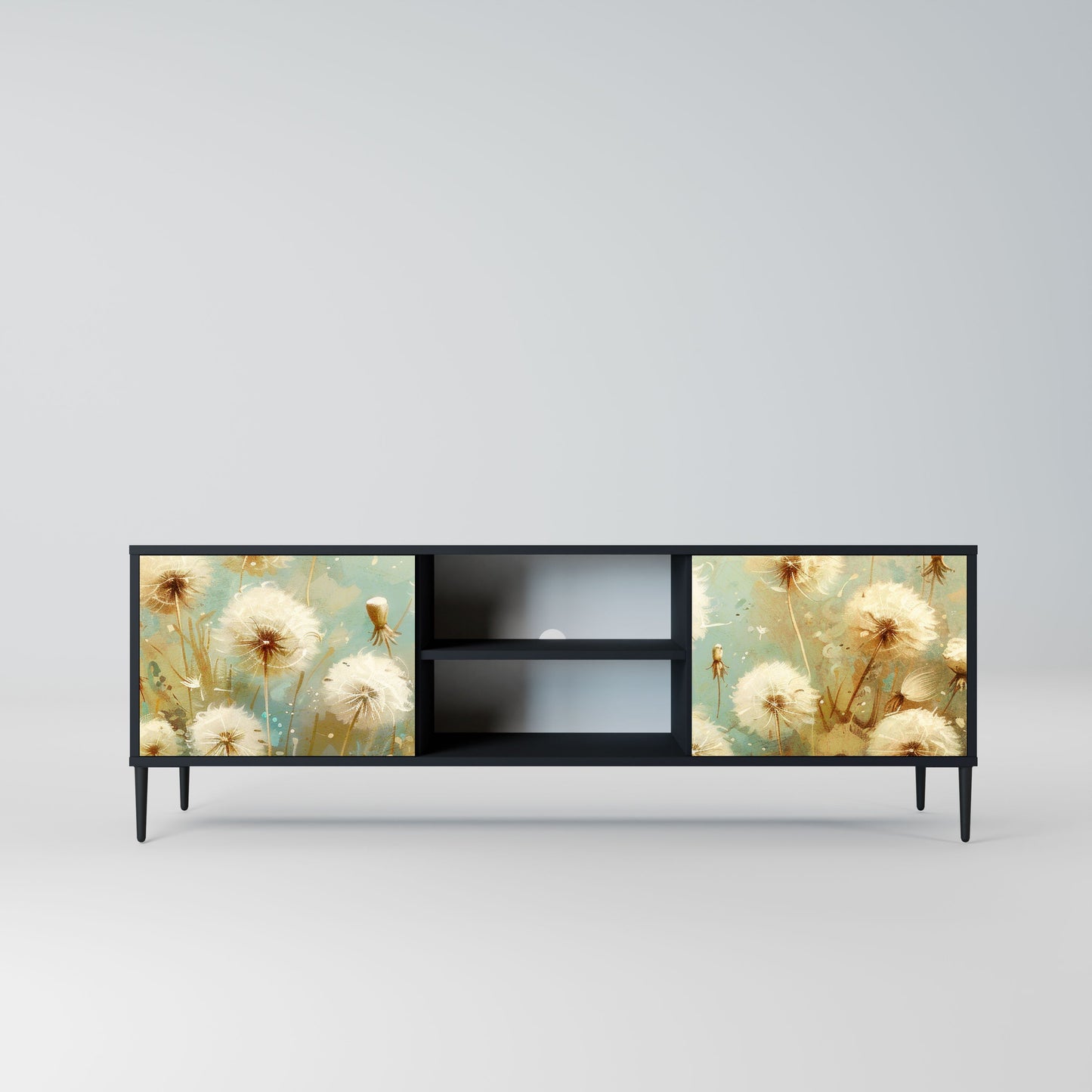 DREAMY MEADOW 2-Door TV Stand in Black Finish