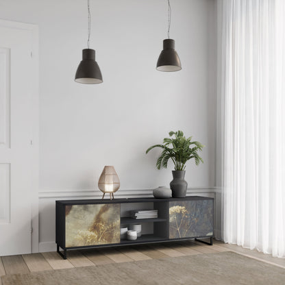 GENTLE POWER 2-Door TV Stand in Black Finish