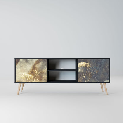 GENTLE POWER 2-Door TV Stand in Black Finish