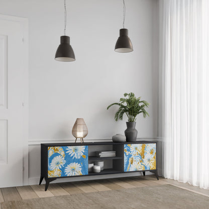 DAISY LUXE 2-Door TV Stand in Black Finish