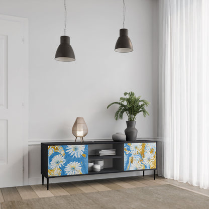 DAISY LUXE 2-Door TV Stand in Black Finish