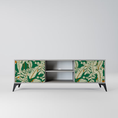VERDANT PLEASURES 2-Door TV Stand in Grey Finish
