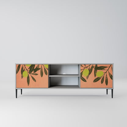 JUICY OLIVES 2-Door TV Stand in Grey Finish