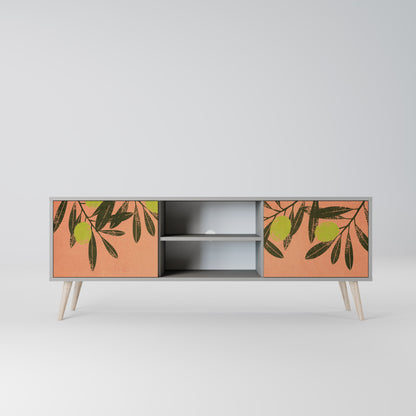 JUICY OLIVES 2-Door TV Stand in Grey Finish